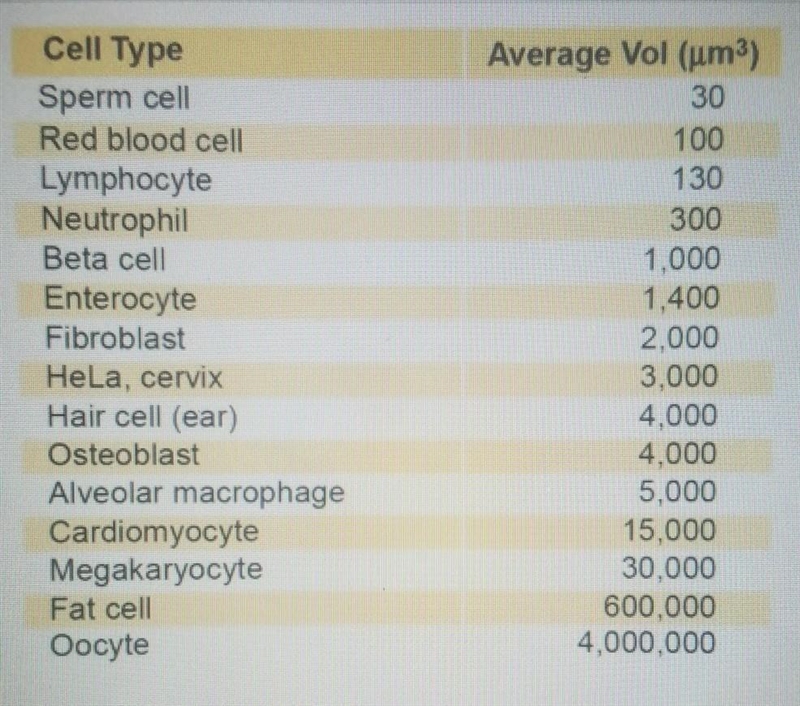 Red blood cells diffuse gas in and out of the bloodstream. Find the surface to volume-example-1