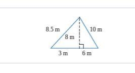 Find the area of the triangle-example-1