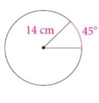 Find the arc length (of the pink arc). Leave in terms of Pi. * A) 45\pi B) 1/8\pi-example-1