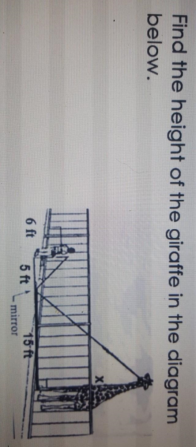 Find the height of the giraffe in the diagram below​-example-1