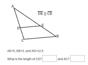 HELP!!! NEED RATIO! A TON OF POINTS!-example-1