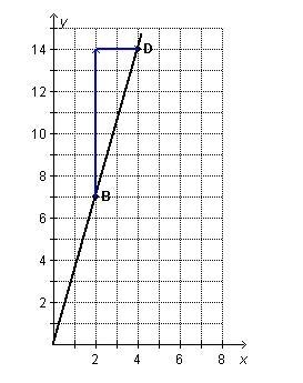 What do the differences between the points (as shown on the graph) represent?-example-1