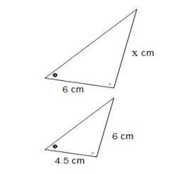 The figures are similar. Find the missing length.-example-1