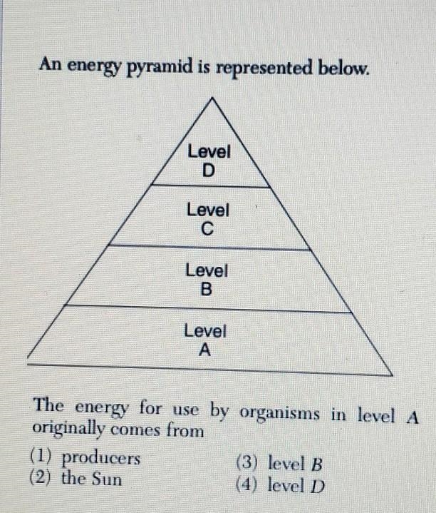 HELP PLEASE!!!!!!!!!!!!!!!!!!!​-example-1