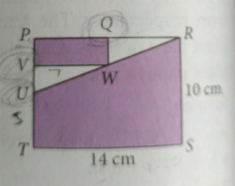 3. In the diagram, PRST and PQWV are rectangles. Q, V and U are midpoints of PR, PU-example-1