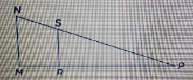 Please help!! It is NOT answer A. Javier wants to prove that triangle MNP is similar-example-1