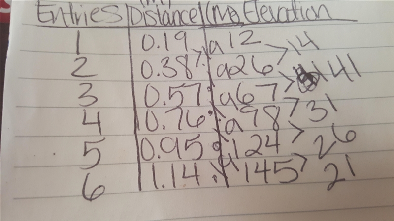 This table shows data collected by a runner. A 3-column table with 6 rows. Column-example-1