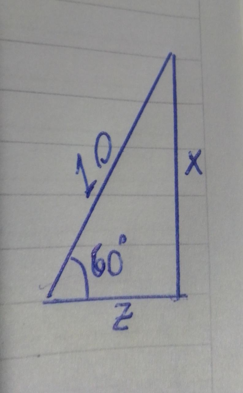 Pls, help. Trigonometry. Please answer in short sentences I'm not picking. Please-example-1