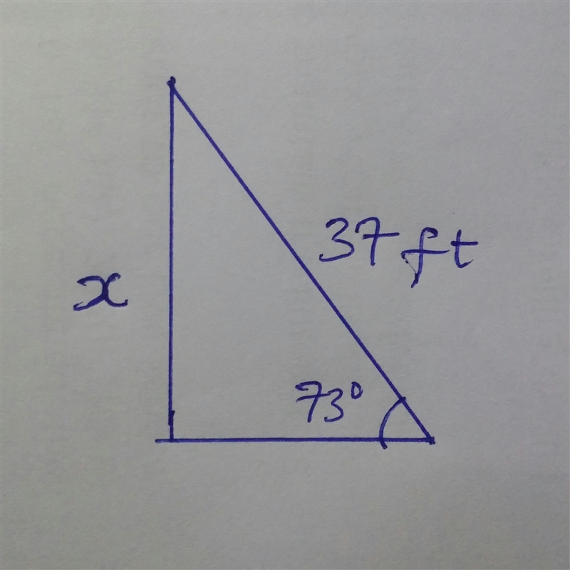 A 37-ft ladder leans against a building so that the angle between the ground and the-example-1