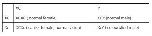 At an autosomal gene locus in humans, the allele for brown eyes is dominant over the-example-1