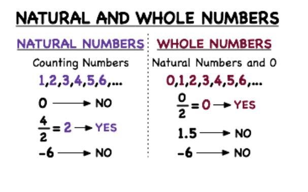 Is -3 a whole number and/or a natural number?-example-1