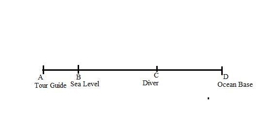 A tour group is going sea diving. Sea level is O feet. The ocean floor is -18 feet-example-1