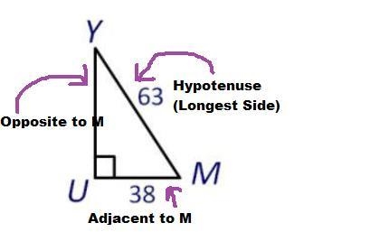 Which of the following is correct based on this picture?-example-1