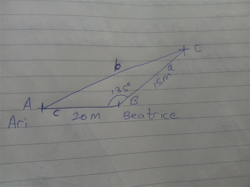 Beatrice is standing 20 meters directly east of Ari, and Cece is standing 15 meters-example-1