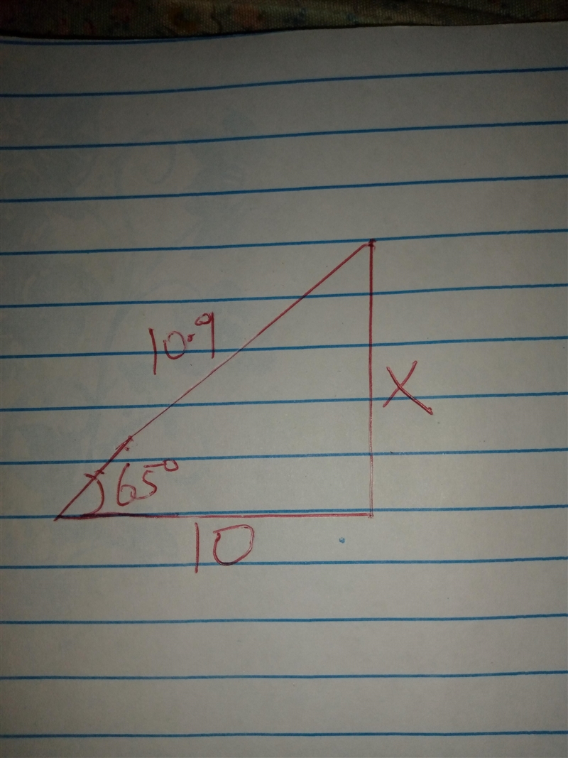 Two sides of a triangle measure 10 inches and 10.9 inches. The included angle between-example-1