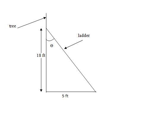 A ladder is placed against a tree. The bottom is located 5 feet from the base of the-example-1