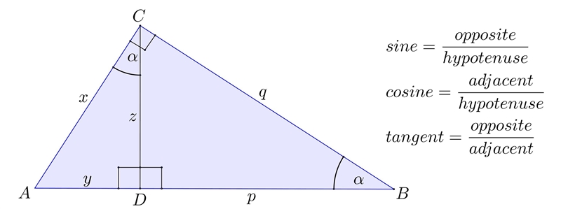 Please help me out with these questions. It's trigonometry-example-1