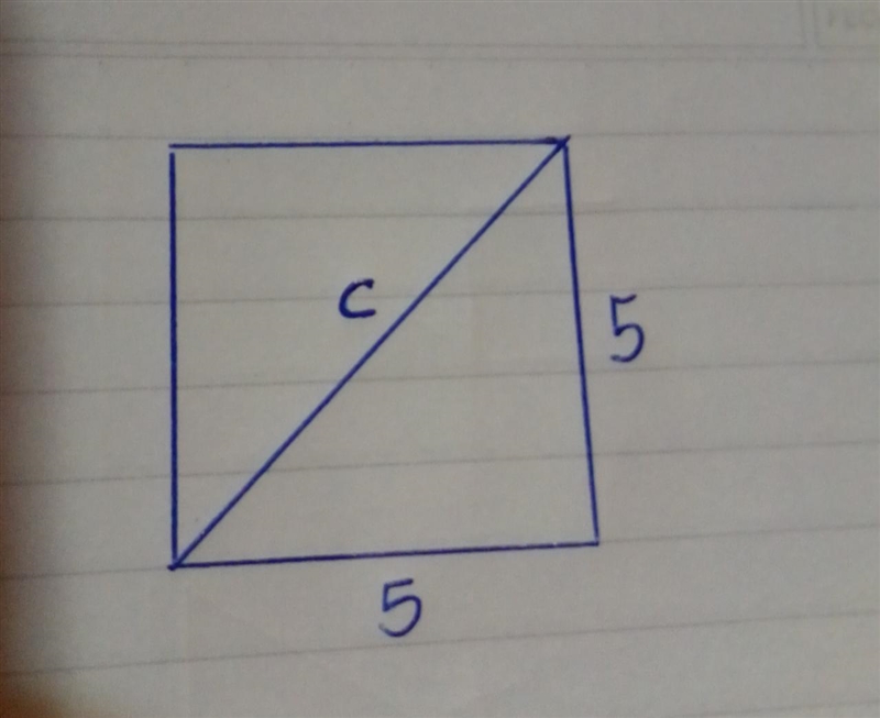 Angie has a square dog pen with a perimeter of 20 meters. She wants to put a diagonal-example-1