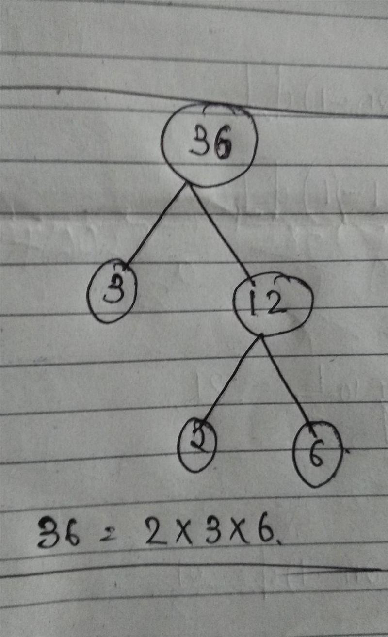 A) Complete this prime factor tree: 36 3 12 2 6 2 b) Write 36 as a product of its-example-1