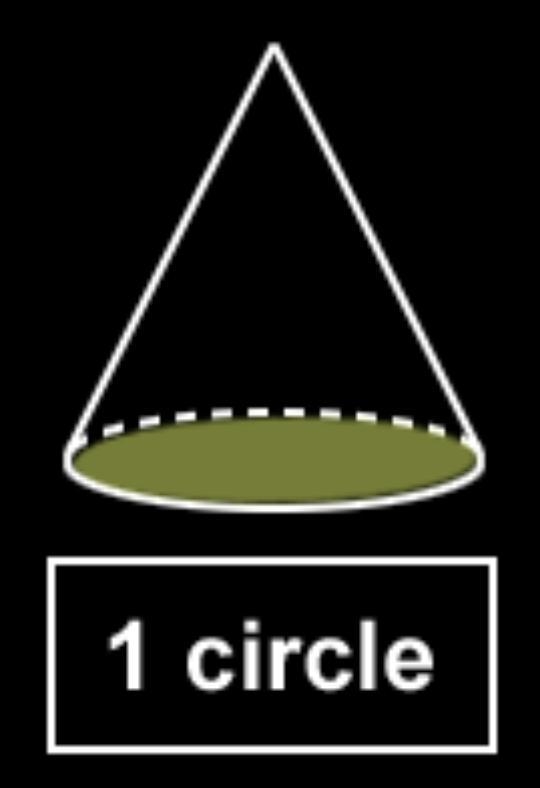 How many bases does a cone have?-example-1