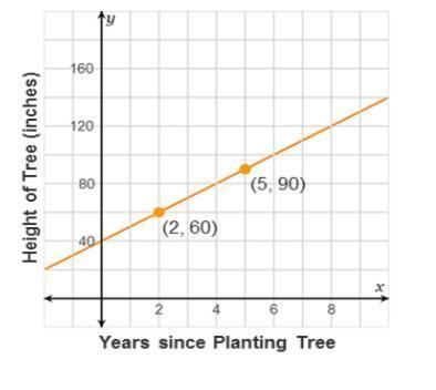 The graph shows the growth of a tree with representing the number of years since it-example-1