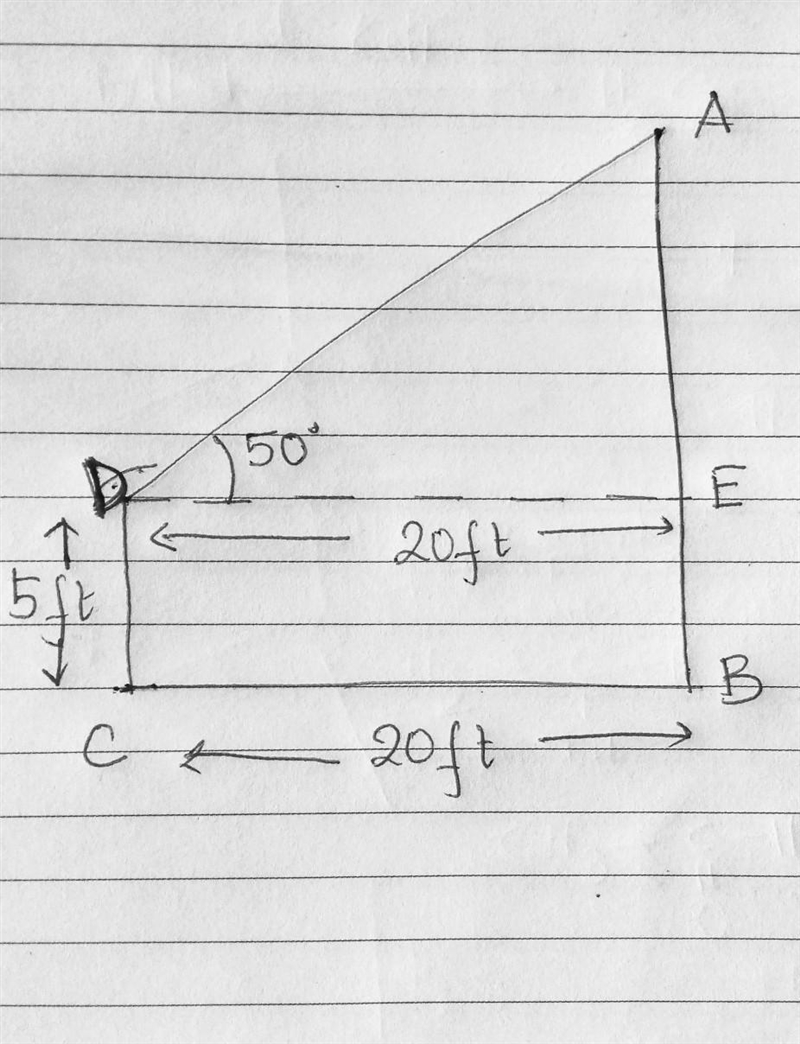 Please Help! Geometry!-example-1