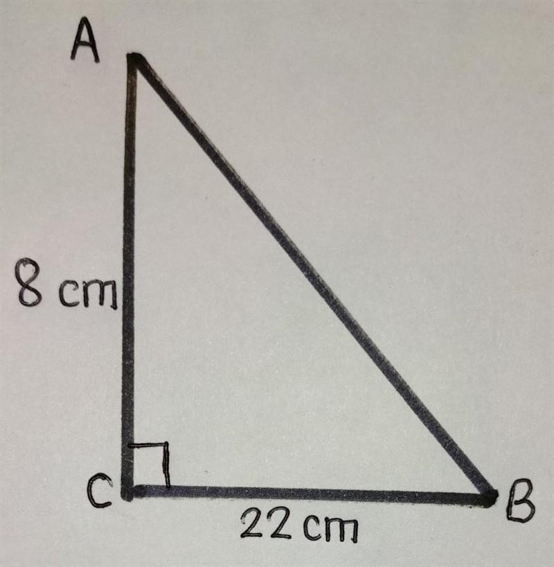 Using Pythagoras theorem work out the length of AB ABC is a triangle, 1 side is 22 cm-example-1