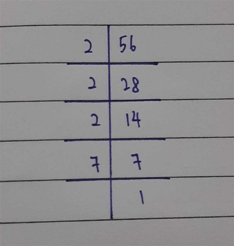 EXPRESS 56 AS THE PRODUCT OF PRIME NUMBERS USING PRIME FACTORIZATION METHOD PLS FIND-example-1