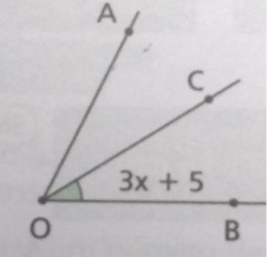 Na figura, OC é bissetriz do ângulo AOB. A medida de BÔC está representada,em graus-example-1