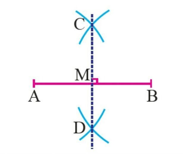 Can anyone help me or tell me how to this *perpendicular bisector* thankyou so much-example-1