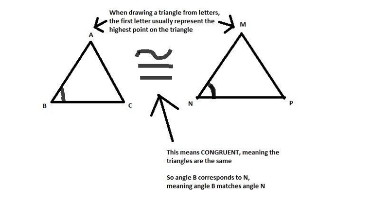 Help please, thank you-example-1