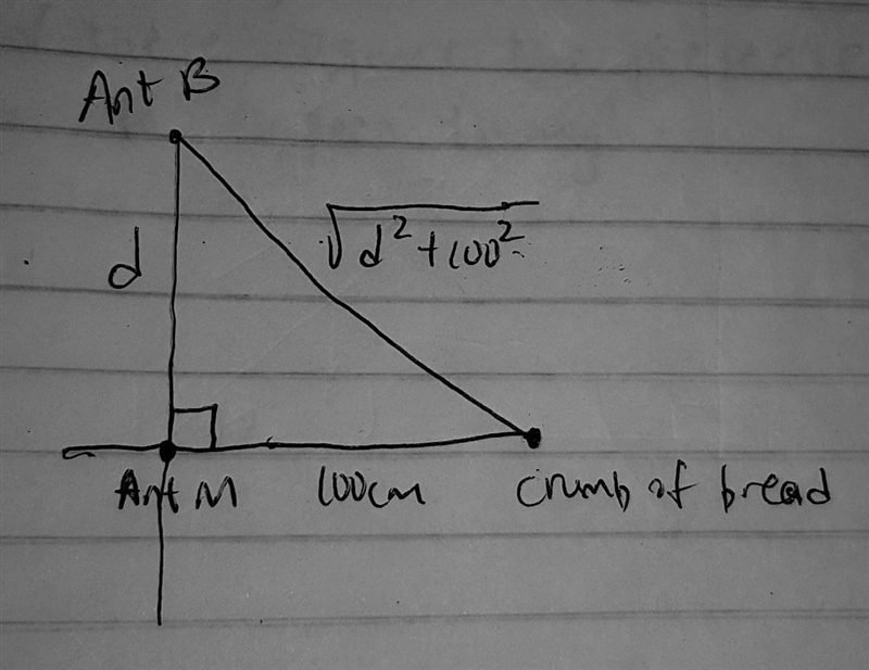 Two ants, Ant M and Ant B, often compete with each other to see which can be the first-example-1