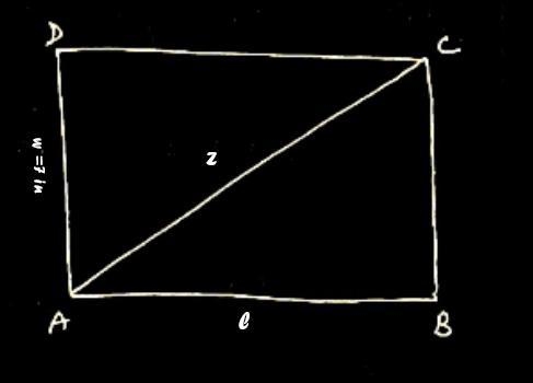 The area of grandiose rectangular painting is 56 in.² the width of the painting is-example-1