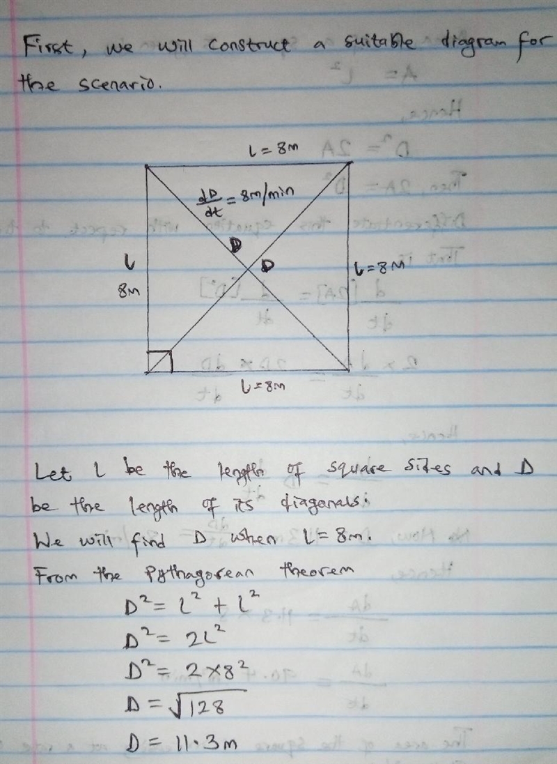 A hypothetical square grows so that the length of its diagonals are increasing at-example-1