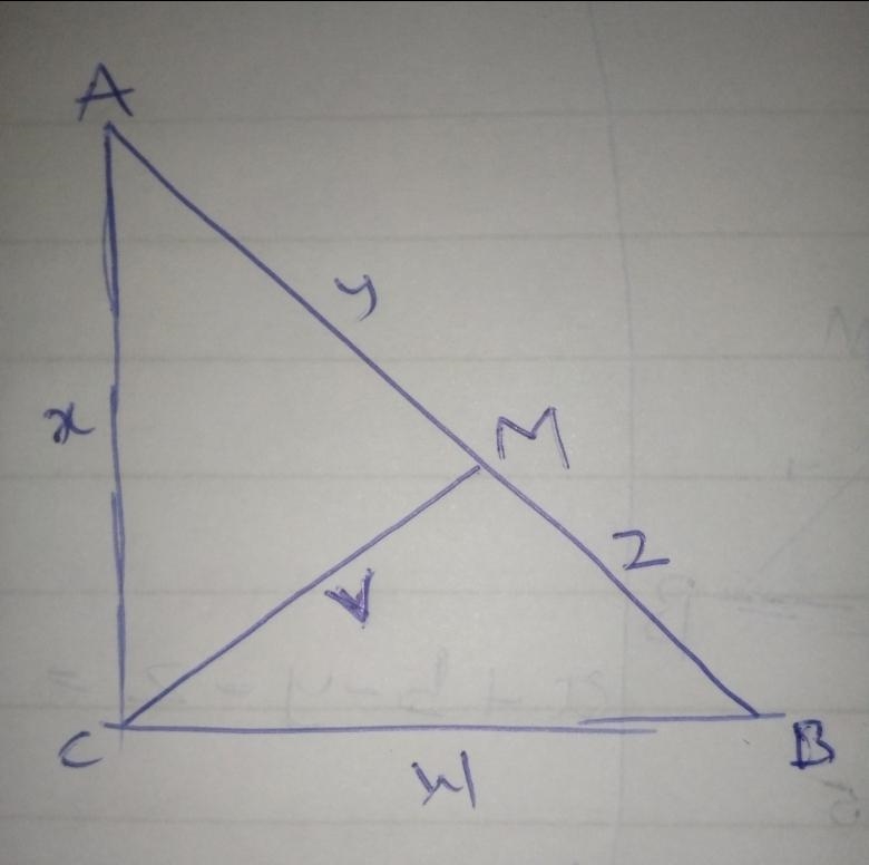 In the right ∆ABC, the hypotenuse AB = 17 cm. M is the midpoint of the hypotenuse-example-1