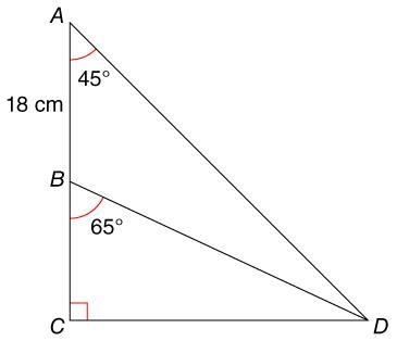 For the △ACD is shown below, select all the true statements. Lengths are rounded to-example-1