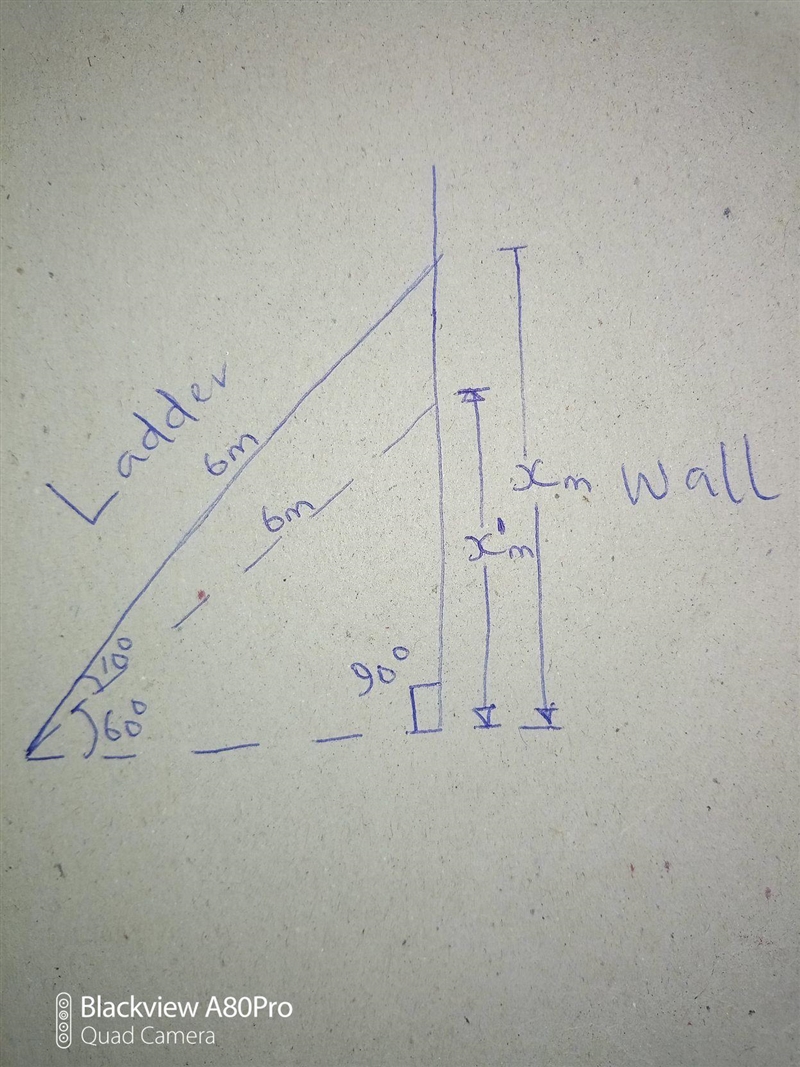 A 6m ladder reaches higher up the wall when placed at a 70 degree angle of elevation-example-1