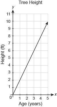 The graph shows the relationship between the height of a tree and its age in years-example-1