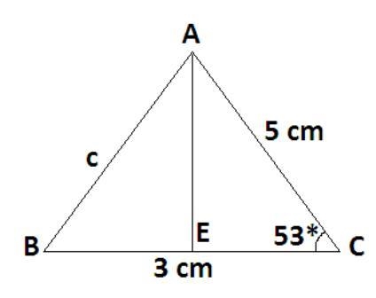 URGENT!! Find the area of a triangle to the nearest square centimeter, where a=3cm-example-1