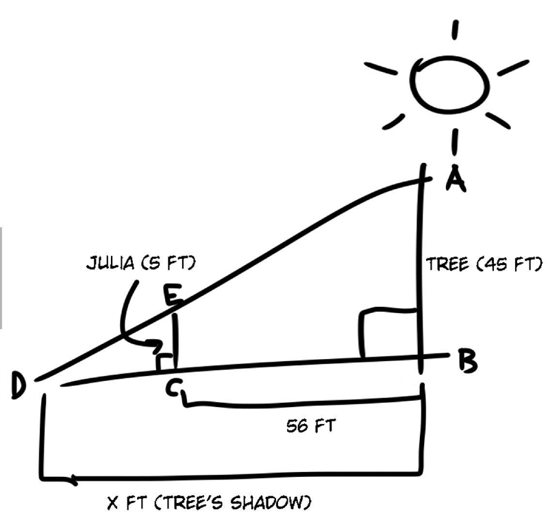 Can someone help me please-example-1