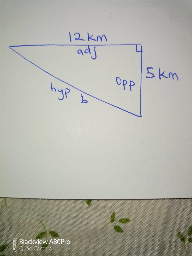 Two joggers run 5km north and then 12km west. What is the shortest distance to the-example-1