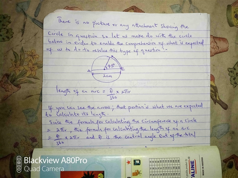 Circle C has diameter AE with a length of 2 cm, and a central angle with the measure-example-1