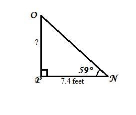 In ΔNOP, the measure of ∠P=90°, the measure of ∠N=59°, and PN = 7.4 feet. Find the-example-1