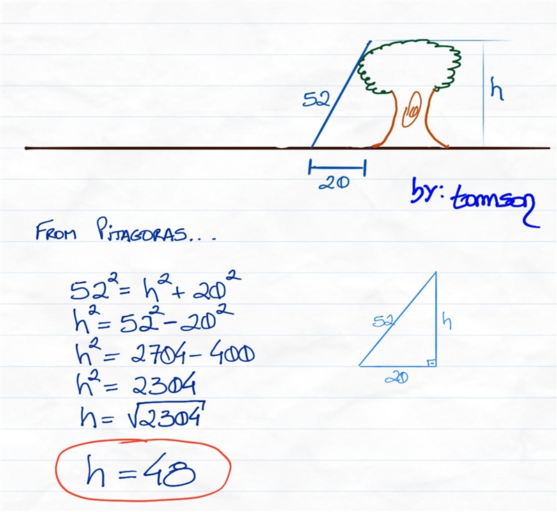 A ladder 52 feet long stands against a straight tree, so that the foot of the ladder-example-1