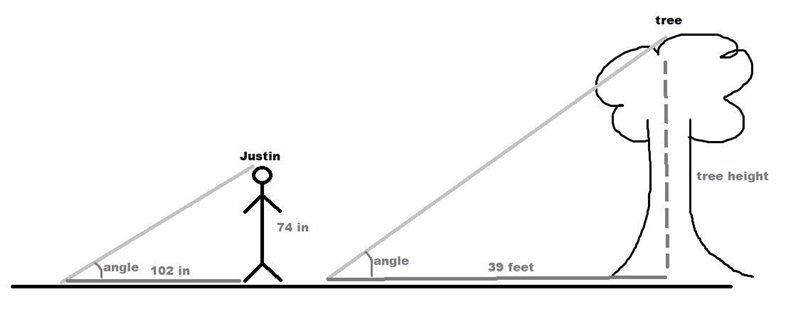 Justin is 74 inches tall and casts a shadow that is 102 inches long. At the same time-example-1