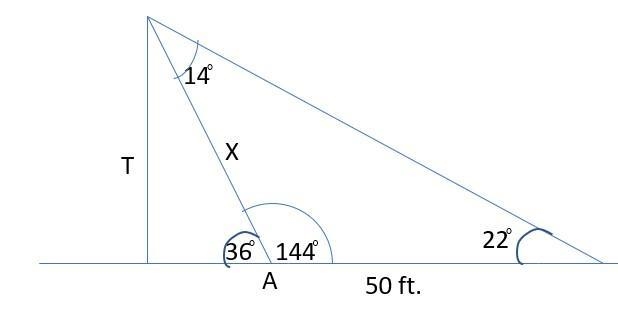 Mr. Santos wanted to know the height of the tree. He observed from a point A that-example-1