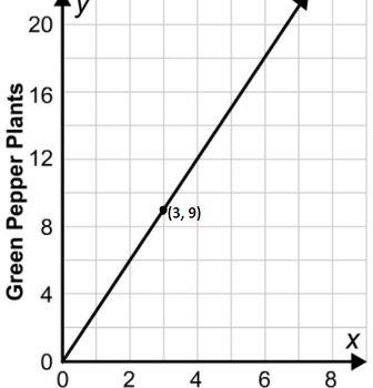 Mr. Drew grows green pepper plants in planters. The graph shows the relationship between-example-1