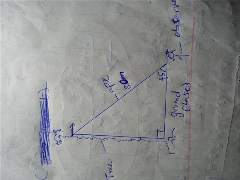 An 80-foot rope from the top of a tree house to the ground forms a 45° angle of elevation-example-1