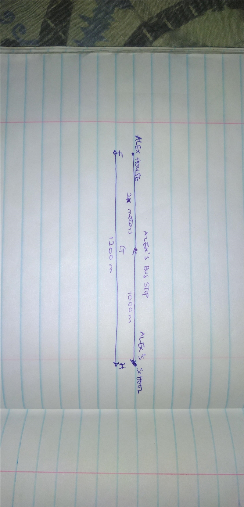 5) Alex's house (point F) lies on the same street as her school (point H). Alex's-example-1