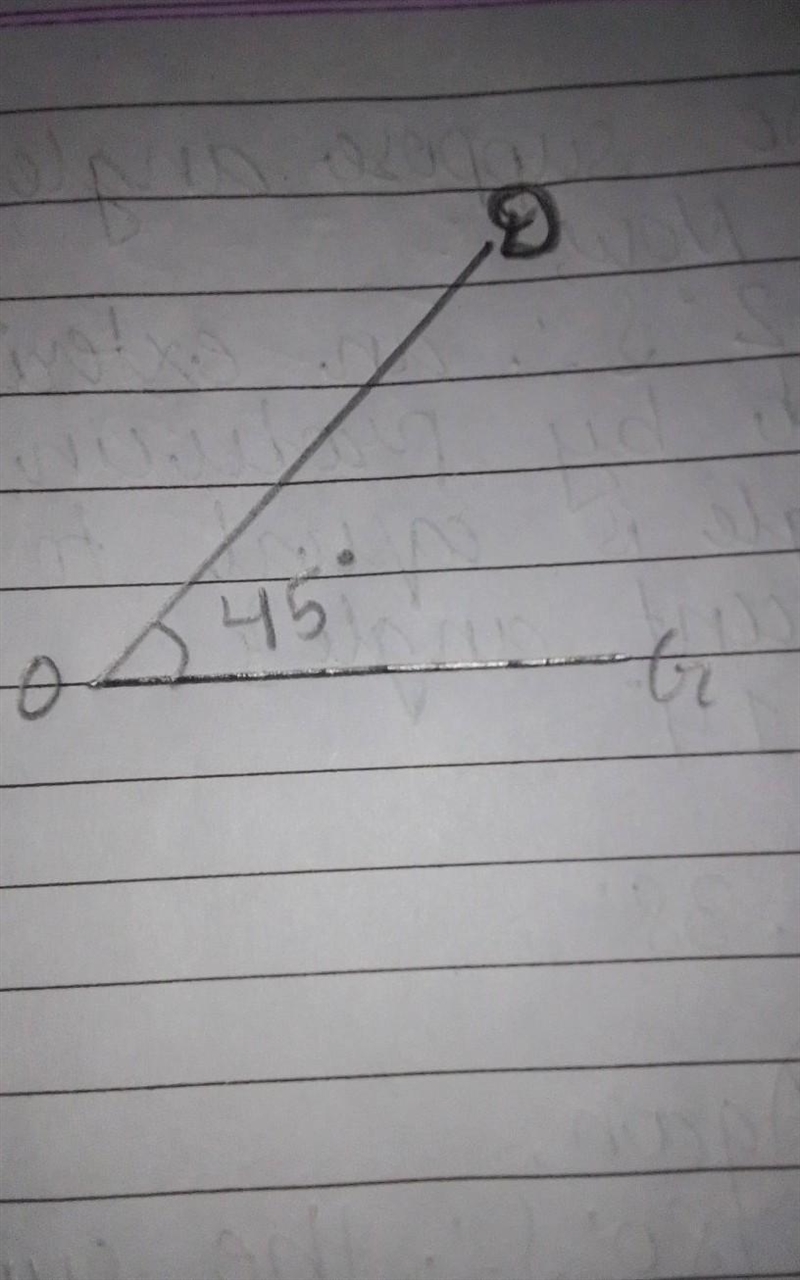 Acute angle DOG with a measure of 45-example-1